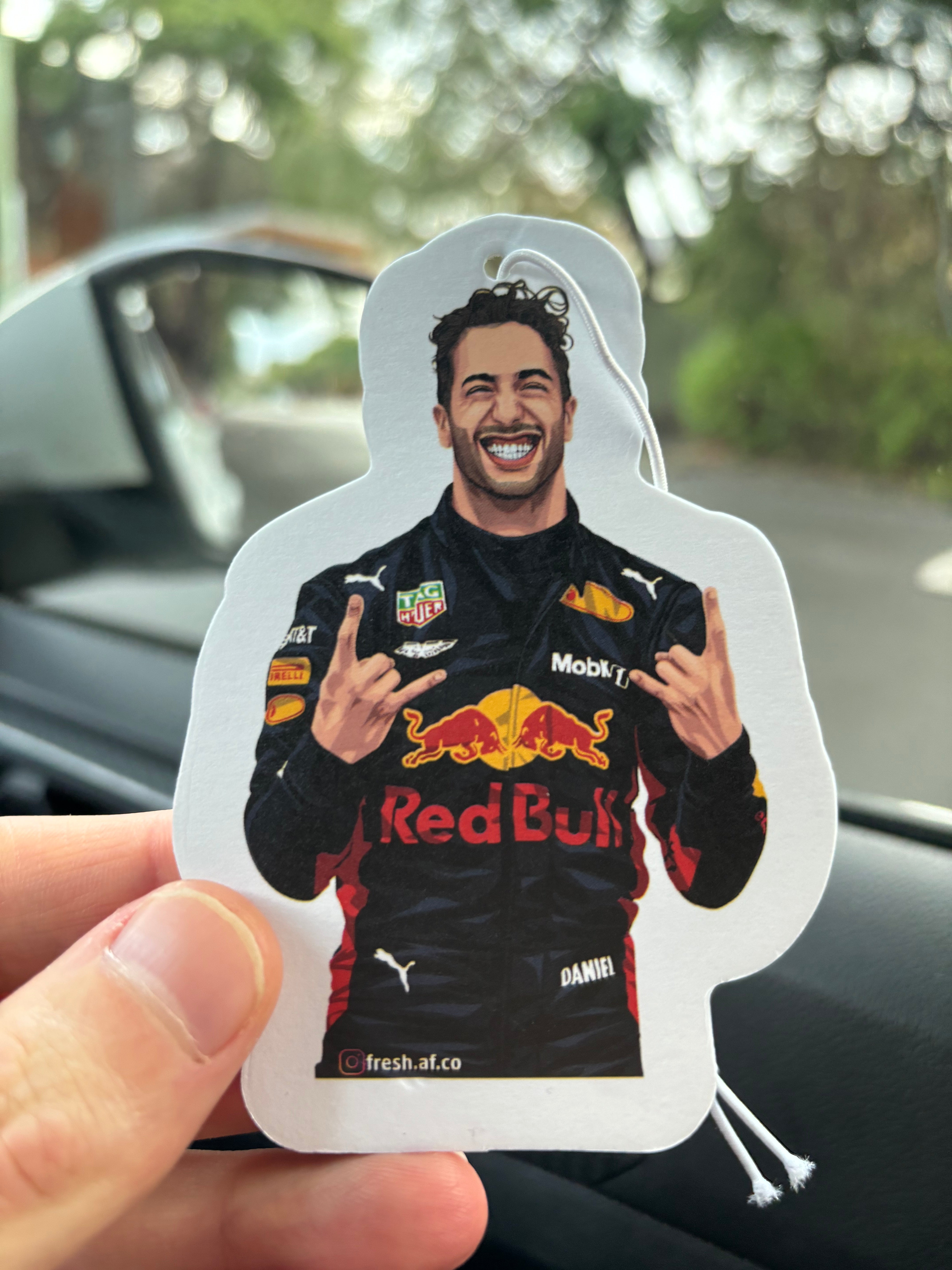 DANIEL RICCIARDO - RED BULL